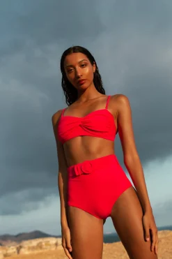 Halo Juniper High-Waisted Brief In Hot Pink