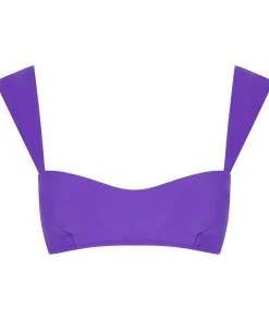 Halo Salinas Bikini Top In Indigo Purple